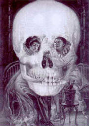 235skull-couple-illusion.jpg